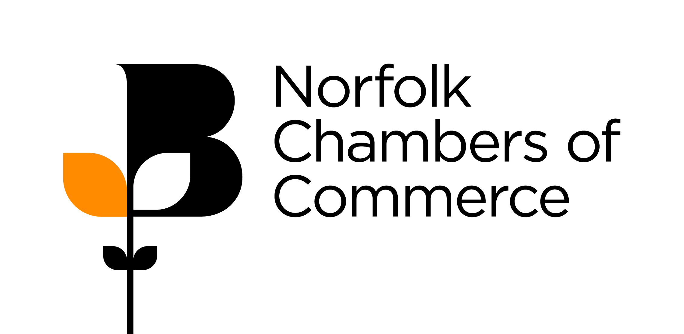 Norfolk Chamber